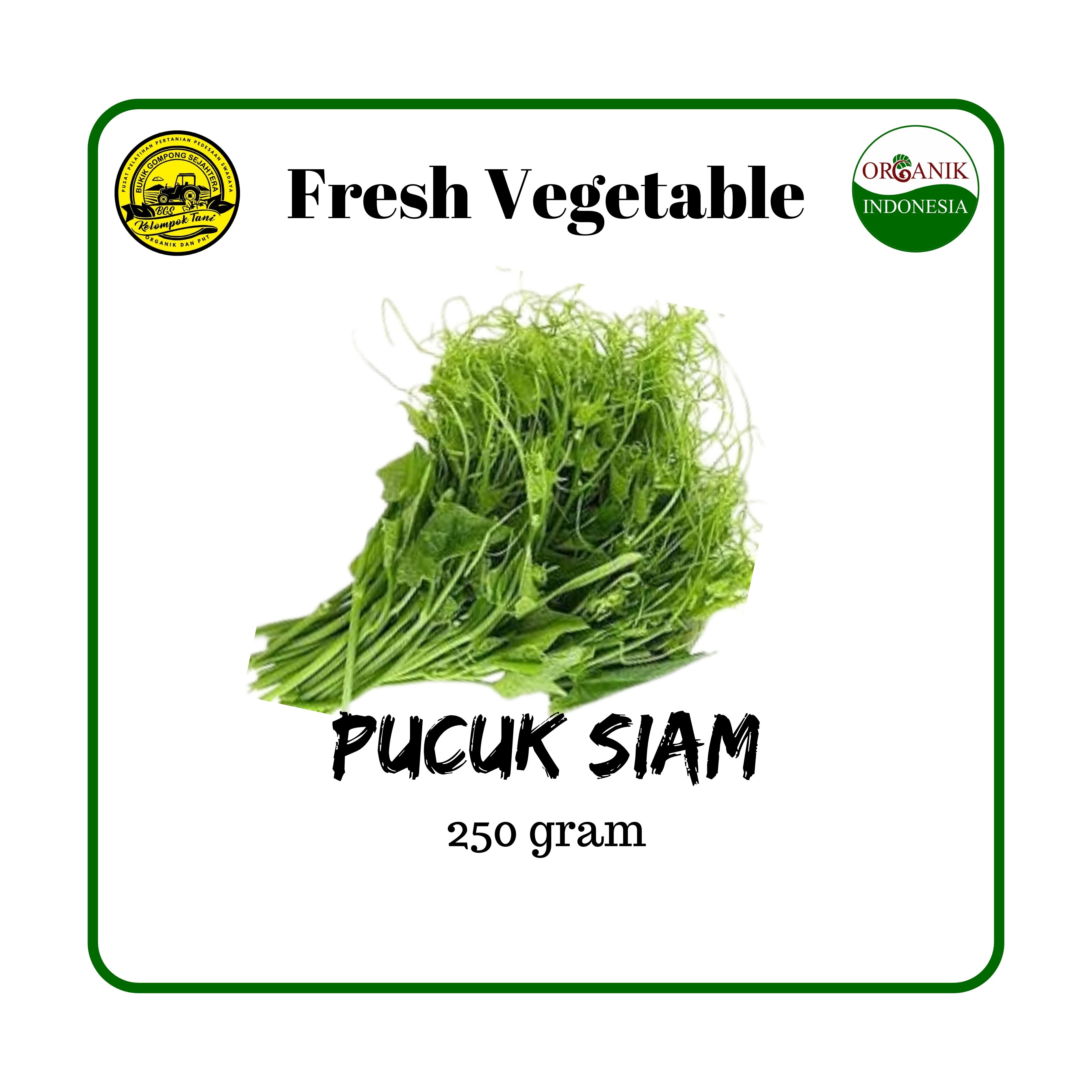 pucuk siam sayuran organik - 250gram (Rp.7.000,-)