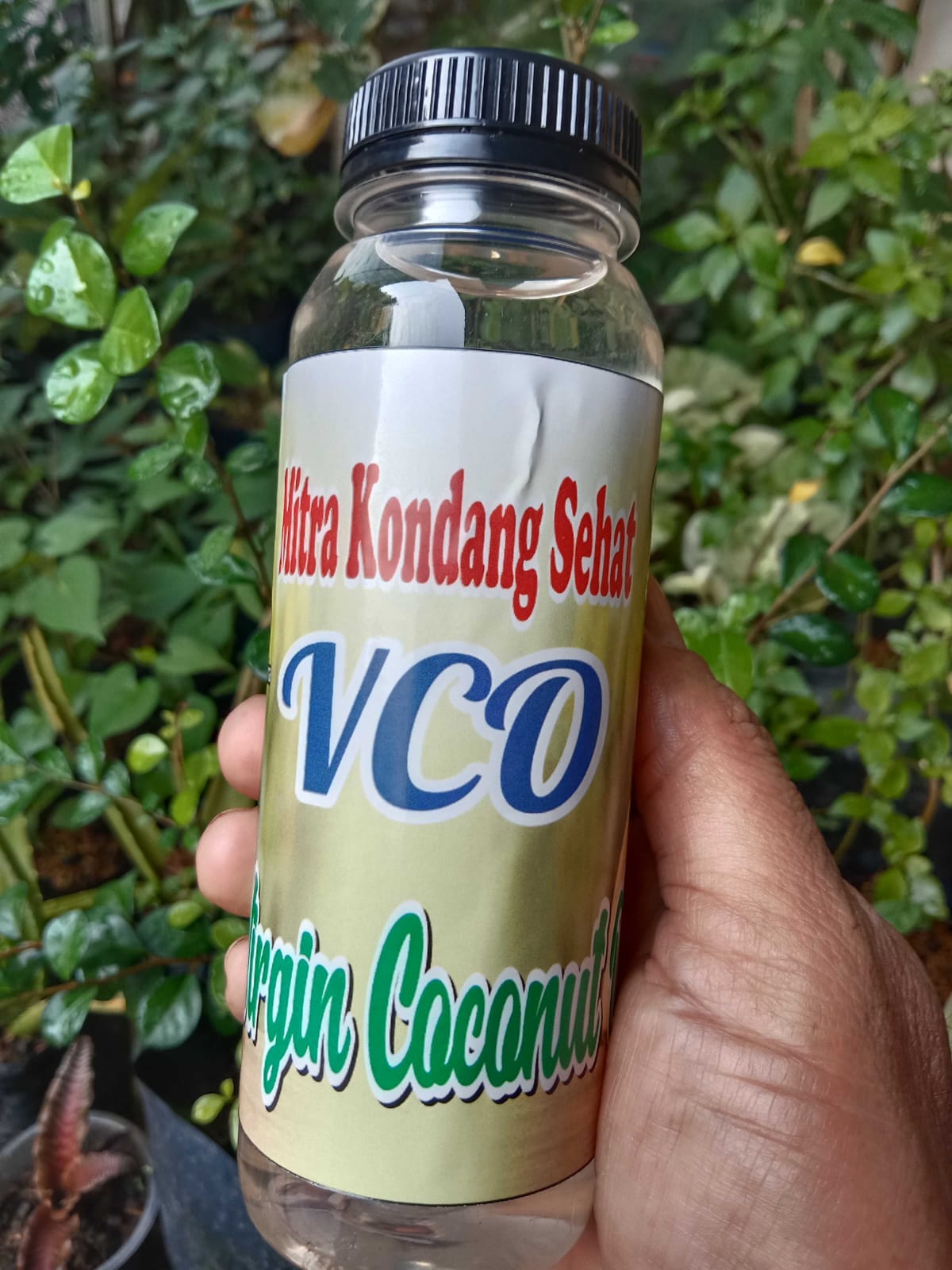 Virgin Coconut Oil