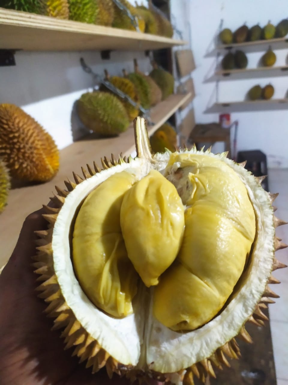 Durian Premium