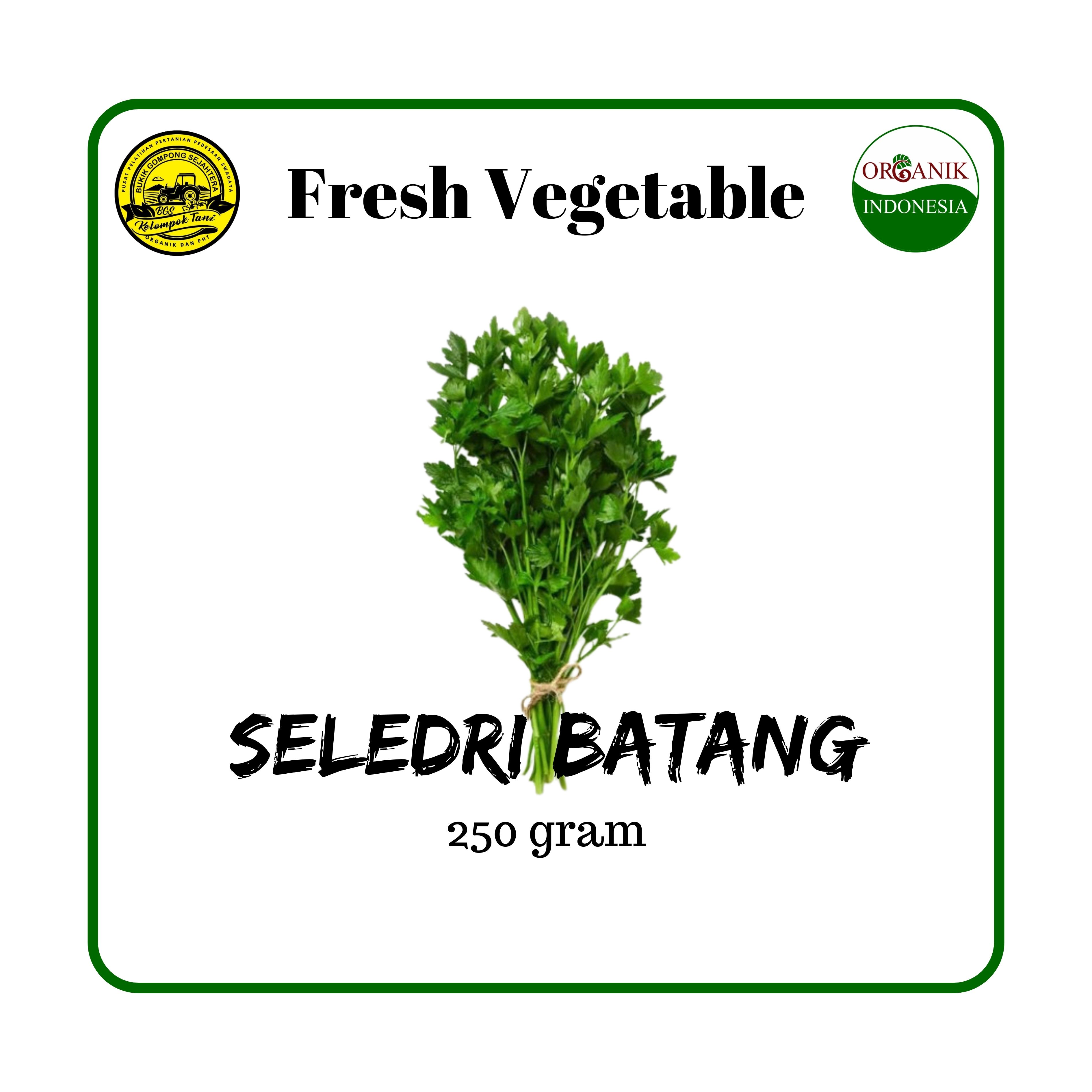 Seledri Batang Organic Segar 250gram (Rp. 10.000,-)