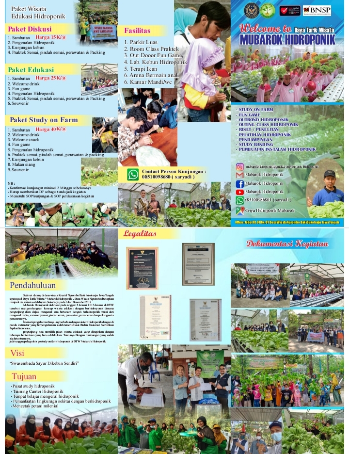 Paket Edukasi Wisata Hidroponik