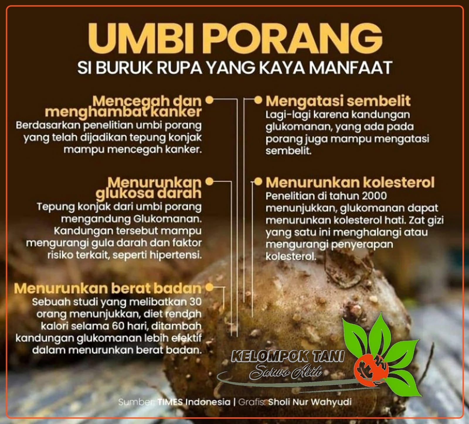 PENGERTIAN UMBI PORANG