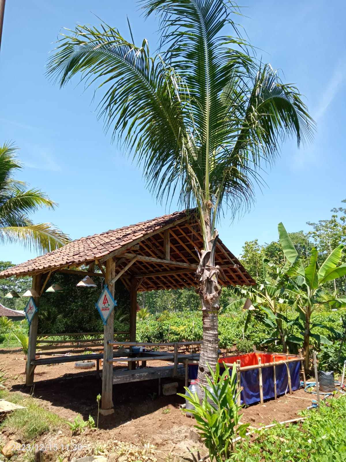 Saung Kebun tempat diskusi On farm