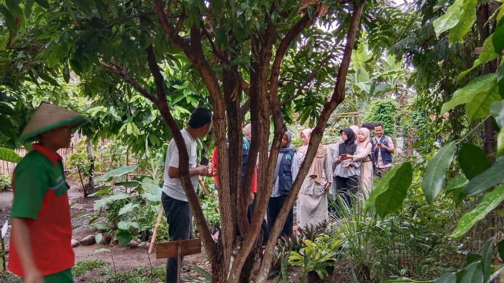 KEBUN EDUKASI TANAMAN OBAT