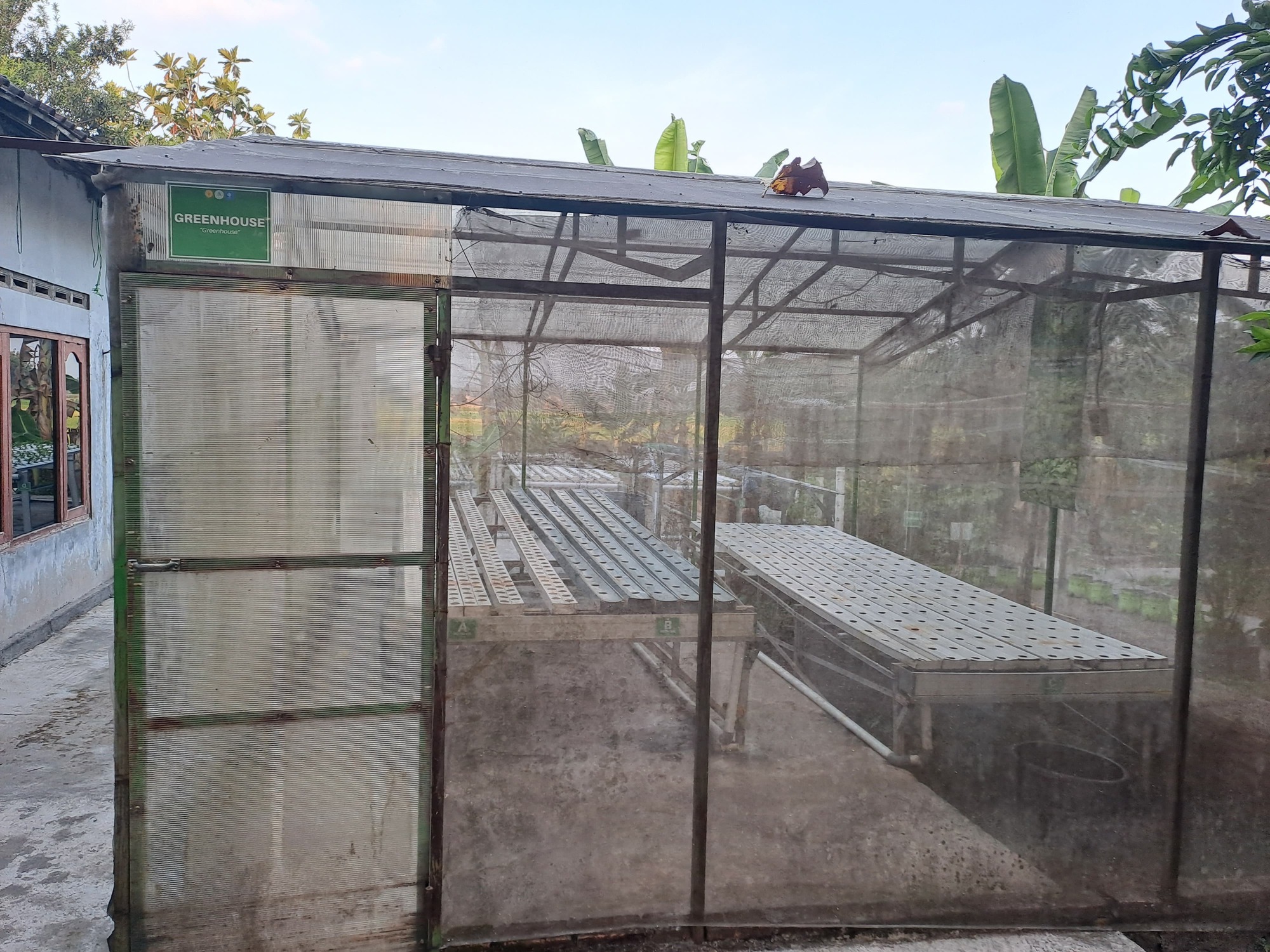 Greenhouse