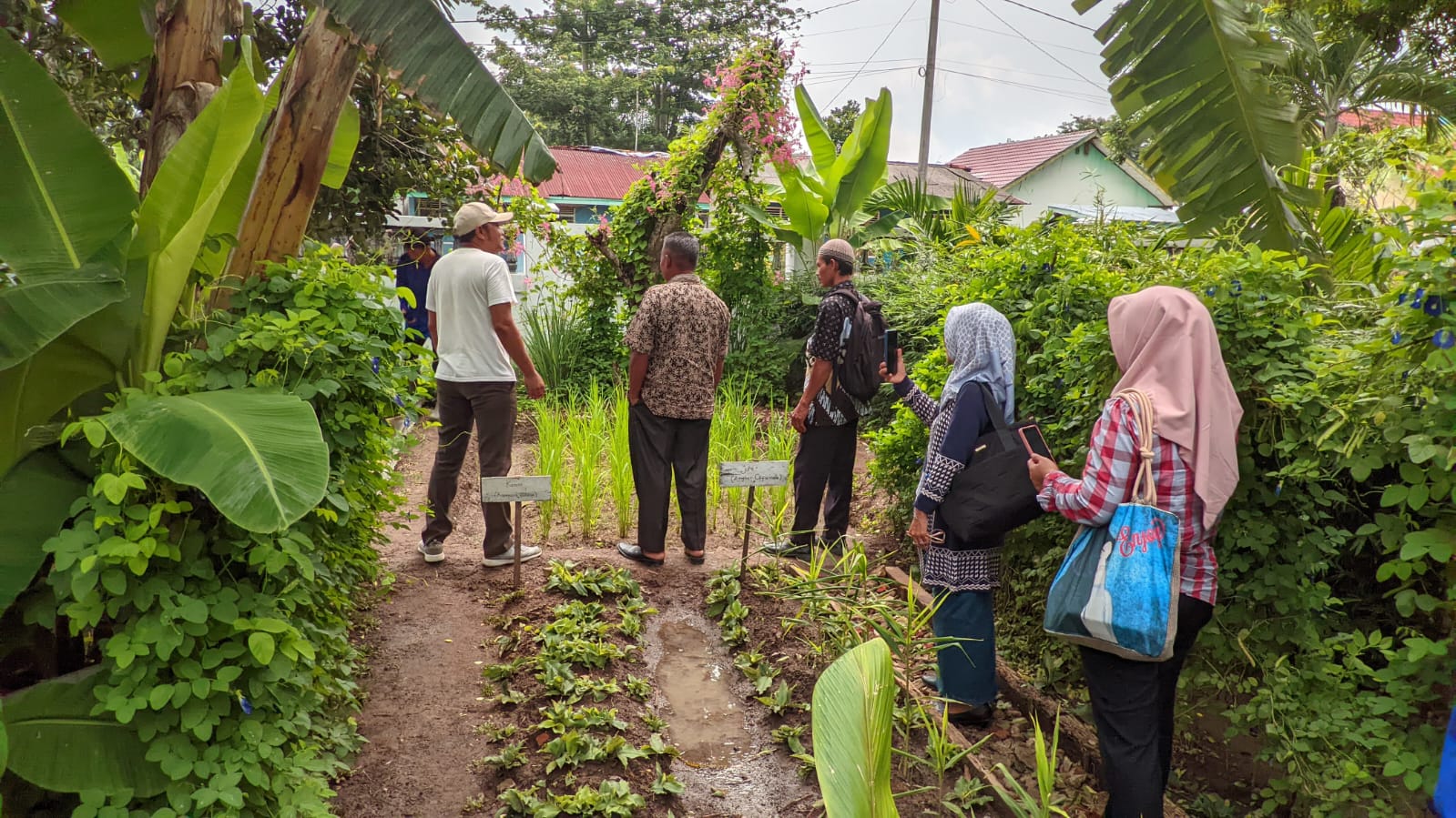 KEBUN EDUKASI PERTANIAN