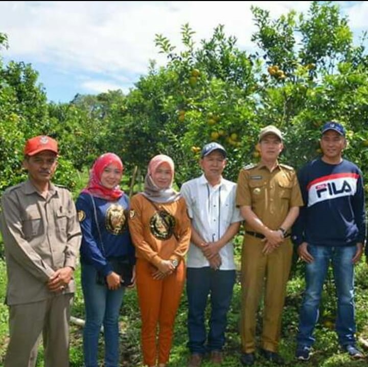 LAHAN PRODUK UNGGULAN JERUK