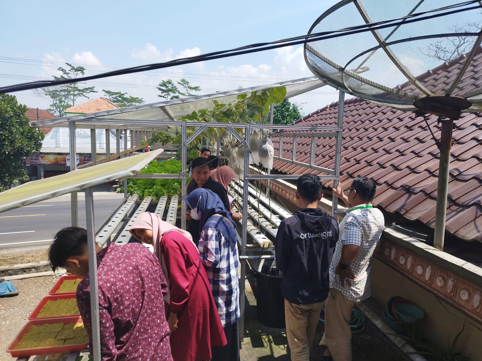 Greenhouse Kebun 1 Reswara Farm