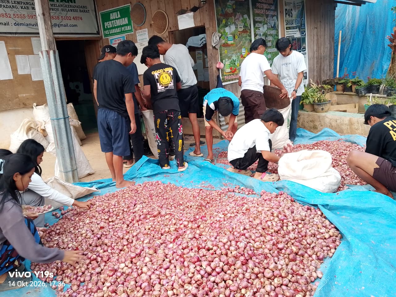 APA ALASANNYA PENERAPAN SISTEM BAGI HASIL DI P4S SAHABAT PETANI...?? 