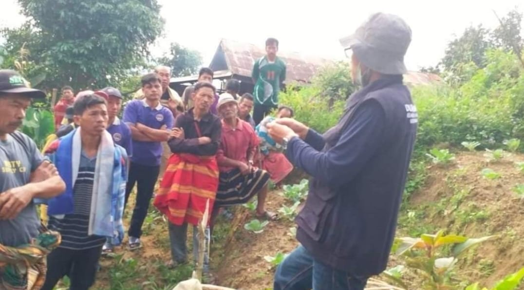 Pelatihan budidaya kopi