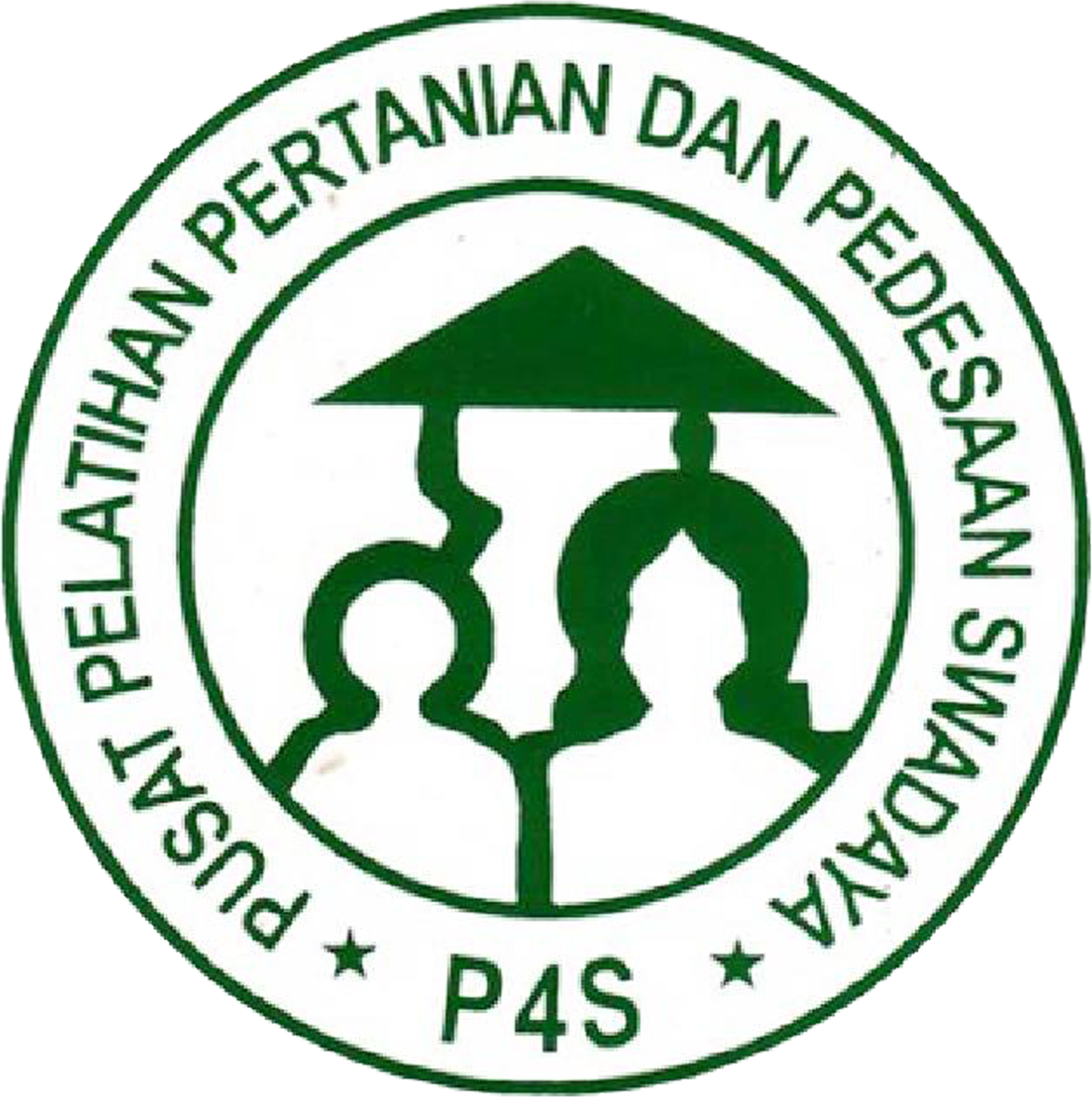 Logo P4S